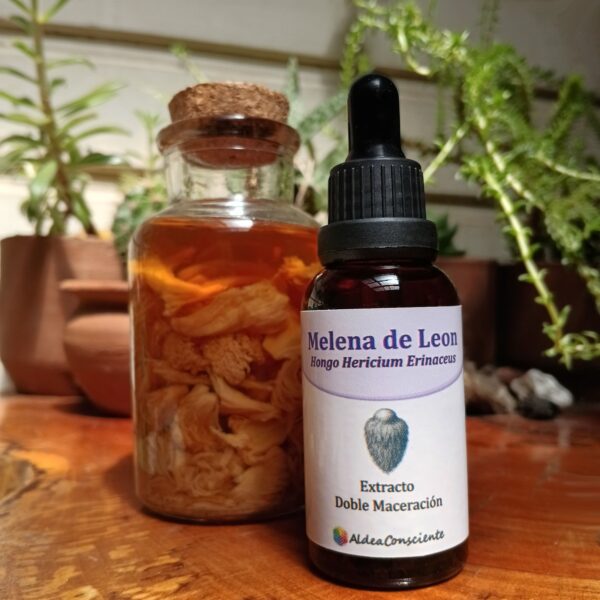 Melena de león (doble)